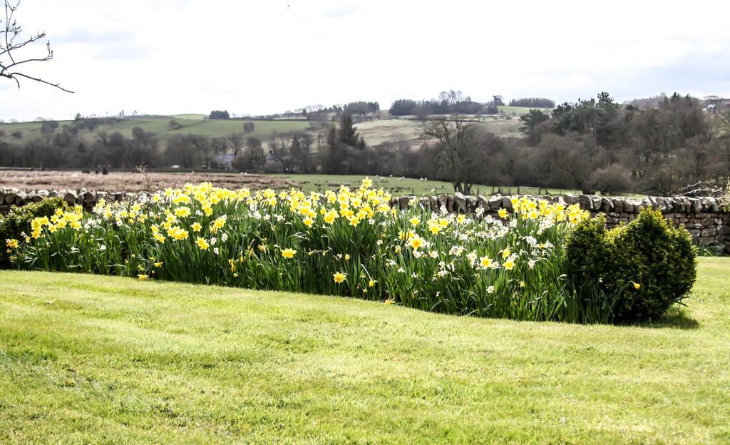 Yellow House West Woodburn Bagian luar foto