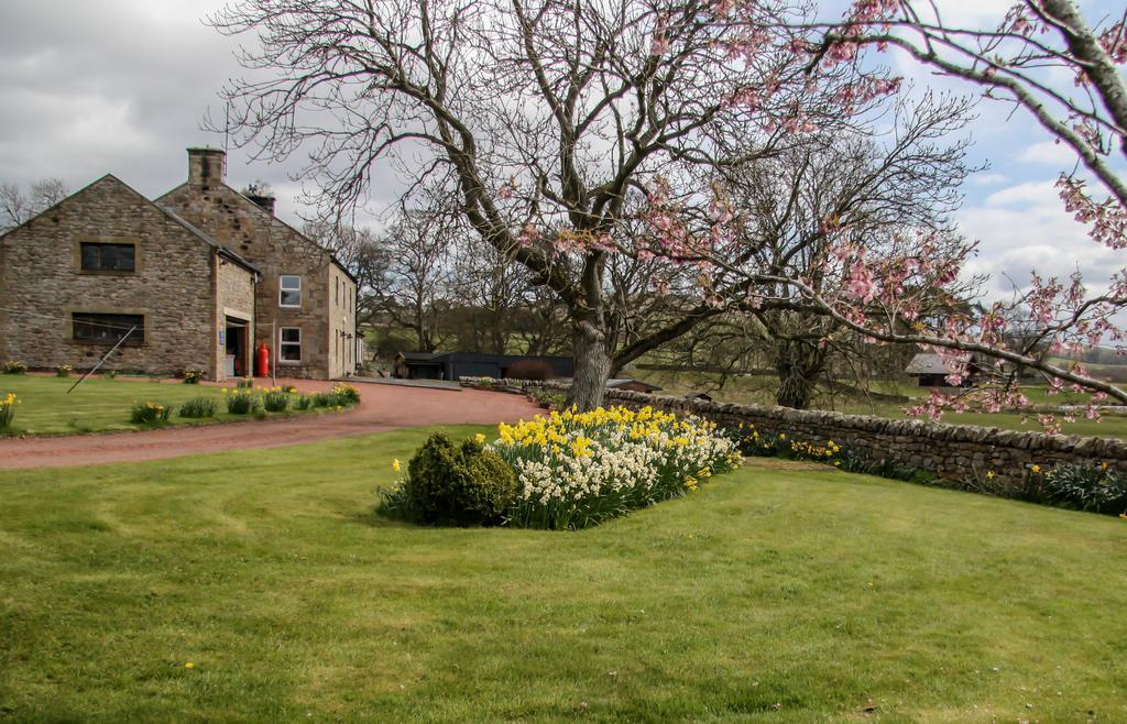 Yellow House West Woodburn Bagian luar foto